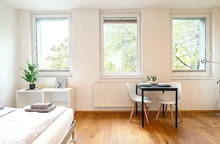 Pronájem bytu 1+kk, Praha - Vinohrady, Perucká, 25 m2
